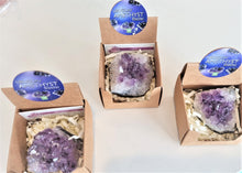Load image into Gallery viewer, Uruguay Amethyst Cluster
